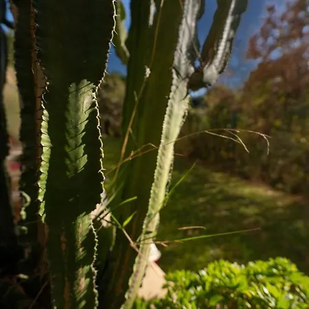 Le Botanica Διαμέρισμα
