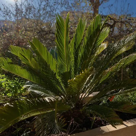 Apartament Le Botanica *